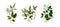 Gold leaves green tropical branch plants wedding bouquet with golden splatters