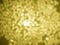Gold light dollar bokeh background and texture
