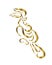 Gold line art vector logo of hornbill