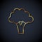 Gold line Broccoli icon isolated on black background. Vector