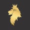 Gold lion with a crown. Logo template. Vector illustration.