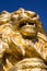Gold lion statues on blue isolated