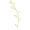 Gold Long Curved Branch Leaves line art. Decorative symbol, bright illustration. Bright decoration
