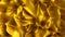 Gold loopable background