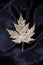 Gold maple leaf- beautiful gold maple leaf to use as billboard