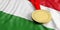 Gold medal on Hungary flag. Horizontal, full frame closeup view. 3d illustration