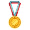 Gold medal with multi colored ribbon.