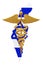 Gold Medical Caduceus Symbol with Israel Flag. 3d Rendering