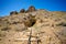 Gold Mine in Death Valley