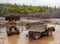 Gold mining industry. A wheel loader loads mountain soil into the back, Mining trucks transport mountain soil