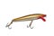 Gold Minnow Crankbait