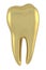 Gold Molar Teeth