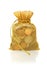 Gold Money Bag of Coins