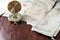 Gold nautical compass on old retro pirate map with red mark cross. Fake treasure map on wooden table