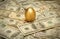 Gold nest egg on a layer of cash