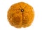 Gold Nugget Mandarin