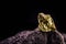 gold nugget on stone  gold inside cave  concept of rarity and luxury