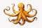 gold octopus on a white background