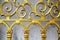 Gold old wrought fence close-up background. Forged ornate beautiful pattern golden gate