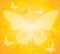 Gold Opaque Butterfly Background