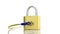 Gold padlock icon with internet access