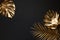 Gold painted tropical leaves on black plain paper background.