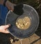 Gold panning