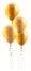 Gold Party Balloons Graphic