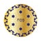 Gold passover seder plate with grapevine border