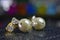 Gold pearl earrings decorated with beautiful diamonds