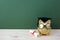 Gold piggy bank with a grad cap and diploma in front of green chalkboard. Education scholarship