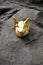 Gold Pigs Head