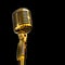 Gold Polished Professional Retro Microphone.