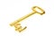 Gold pound key