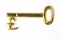 Gold pound key