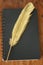 Gold quill and diary