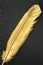 Gold quill pen