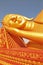 Gold reclining Buddha in Wat Si Saket, Vientiane