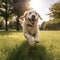 Gold retriever dog running on the field. Generative AI