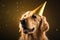 Gold retriever dog wearing birthday hat on his head on a dark background with confetti