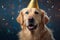 Gold retriever wearing party hat on his head on a festive background with confetti and serpentine.