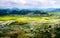 Gold rice terraces of Baping