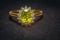 Gold ring with peridot