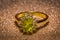 Gold ring with peridot