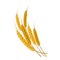 Gold ripe wheat ears icon, cartoon style