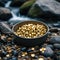 gold rocks in a bowl near a stream on a rocky ground