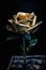 A gold rose sitting on top of a book. Generative AI image.