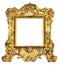 Gold Royal Picture Frame