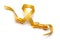 Gold satin ribbon