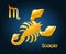 Gold scorpio zodiac astrology sign
